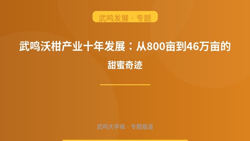 武鸣沃柑产业十年发展：从800亩到46万亩的甜蜜奇迹