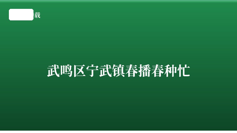 武鸣区宁武镇春播春种忙
