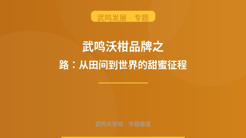 武鸣沃柑品牌之路：从田间到世界的甜蜜征程