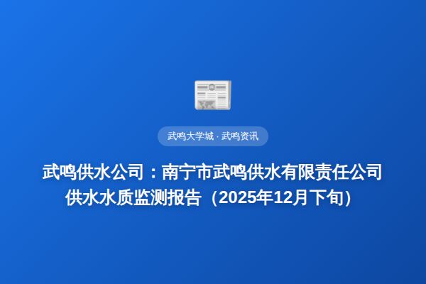 武鸣供水公司：南宁市武鸣供水有限责任公司供水水质监测报告（2025年12月下旬）