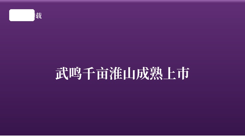 武鸣千亩淮山成熟上市