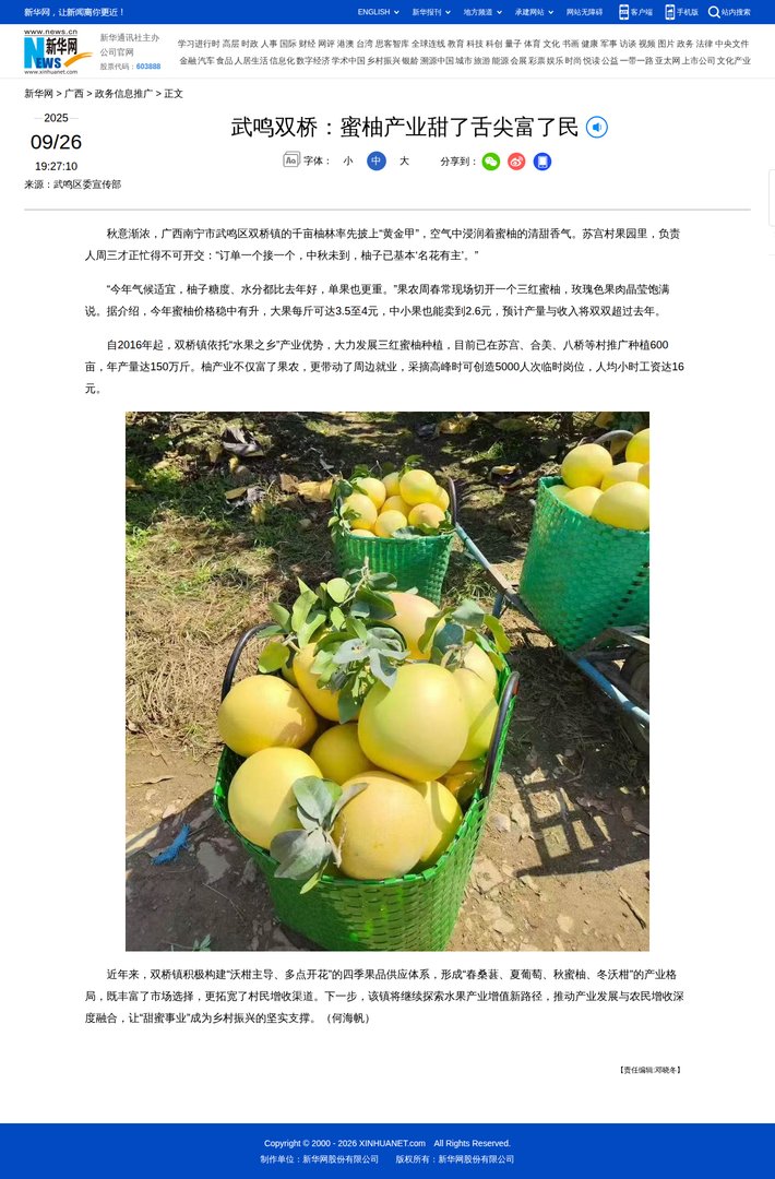 武鸣双桥：蜜柚产业甜了舌尖富了民