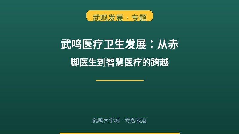 武鸣医疗卫生发展：从赤脚医生到智慧医疗的跨越