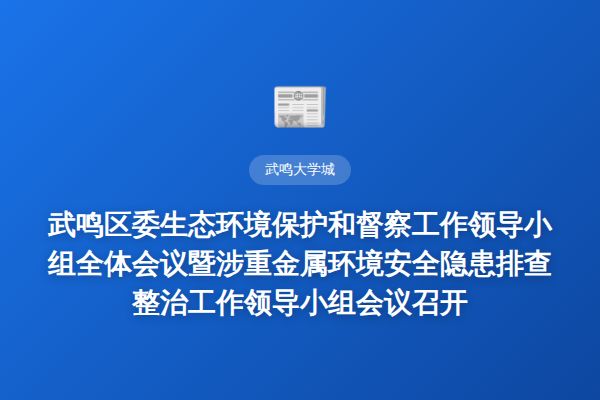 武鸣区委生态环境保护和督察工作领导小组全体会议暨涉重金属环境安全隐患排查整治工作领导小组会议召开