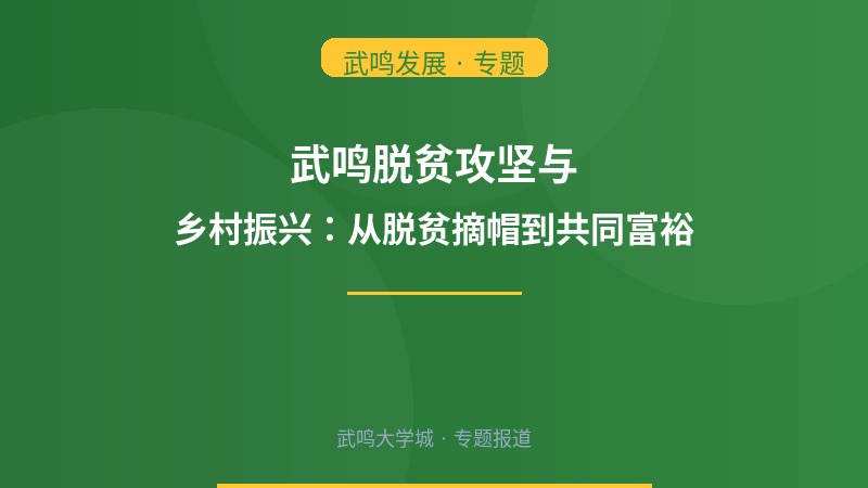 武鸣脱贫攻坚与乡村振兴：从脱贫摘帽到共同富裕