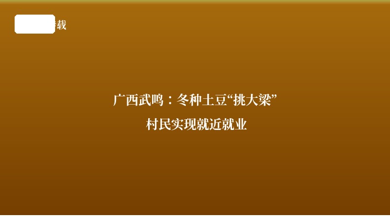 广西武鸣：冬种土豆“挑大梁” 村民实现就近就业
