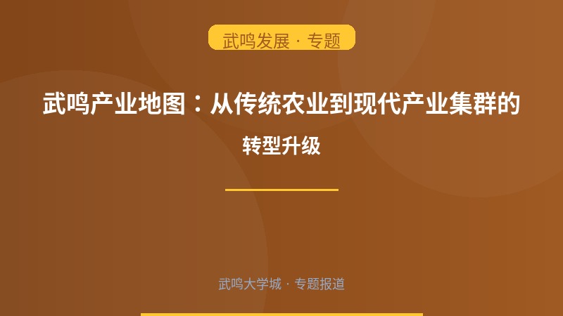武鸣产业地图：从传统农业到现代产业集群的转型升级