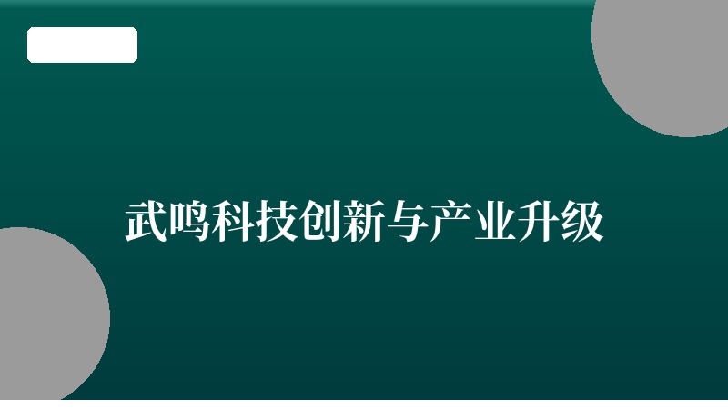 武鸣科技创新与产业升级：从传统农业县到科技创新高地的跨越